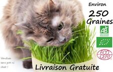 Graines herbe chat d'occasion  Gap