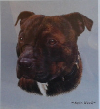 Framed print staffie for sale  LEAMINGTON SPA