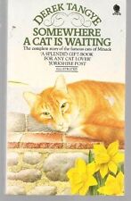 Somewhere cat waiting for sale  UK