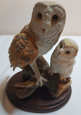 Barn owl fine for sale  CARLISLE