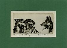 ~ Pastores alemães ~ Estampa de cães alsacianos por Diana Thorne vintage genuíno 1935 comprar usado  Enviando para Brazil