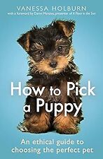 Pick puppy ethical for sale  UK