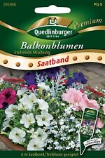 Balkonblumen stehende mischung gebraucht kaufen  Pulheim