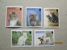 Briefmarken motiv katzen gebraucht kaufen  Bernburg