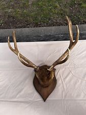 Typical american elk for sale  Blanco