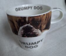 Grumpy dog bulldog for sale  BURTON-ON-TRENT