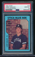 1985 TCMA Utica Blue Sox #16 Larry Walker PSA 10 gem estado perfeito swsw6, usado comprar usado  Enviando para Brazil