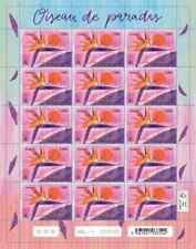 2024 tropical flowers d'occasion  Lille-