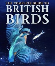 British birds for sale  UK