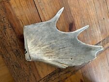 Moose antler paddle for sale  Shiocton