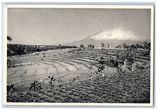Bogor West Java Indonesia Postcard Mount Salak Fields View c1920's Antique for sale  Shipping to South Africa