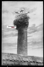 Plaque verre photo d'occasion  Grenade