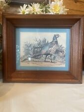 Vintage pheasants framed for sale  Elk Grove
