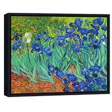 Irises van gogh for sale  USA