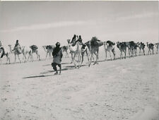 Sahara 1950 caravane d'occasion  Ballon