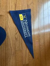 Neumann university college for sale  Warrington