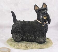 Scottish terrier standing for sale  CAMELFORD