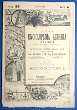 Ezognosia rivista dell usato  Italia