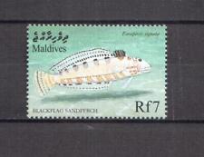 Maldivas 1999-pescado blackflag sandperch - 1 Sello Temático de serie menta nunca con bisagras ** segunda mano  Embacar hacia Spain