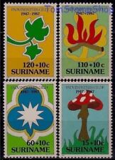 Suriname 1987 scout usato  Trambileno