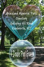 Graceland memorial park for sale  Kenilworth