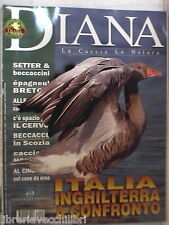 Diana 2003 epagneul usato  Salerno