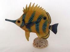 Tropical saltwater butterfly for sale  GODALMING