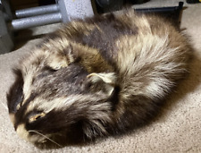 Real raccoon fur for sale  Caldwell