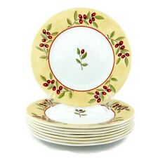 Corelle radiance dinner for sale  Shipping to Ireland