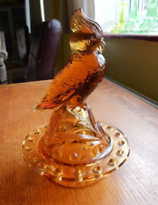Brockwitz kakadu amber for sale  NEWBURY