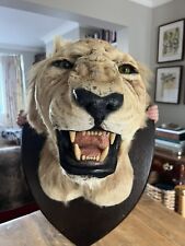 Lion head for sale  FARNHAM