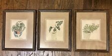 Set of 3 Vintage Wendy Wheeler House Plant Framed Drawings Prints Beige 1974, used for sale  Shipping to South Africa