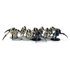 Hormagaunt brood tyranids for sale  Shipping to Ireland