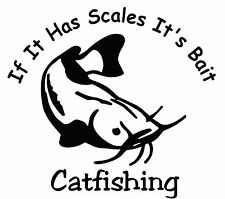 Catfishing scales bait for sale  Kendallville