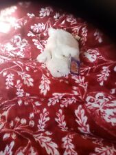 Pig plush teddy for sale  GREAT YARMOUTH