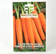 Semi carota usato  Terlizzi