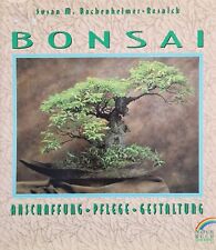 Bonsai anschaffung pflege gebraucht kaufen  Knielingen