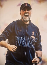 Jurgen Klopp Liverpool foto assinada 16 x 12 certificado de autenticidade comprar usado  Enviando para Brazil