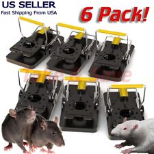Instant mouse mice for sale  Westminster