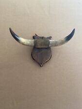 Vintage Mounted Bull Steer Horns Wall Mount 12” Truck Grill Mount for sale  Oskaloosa