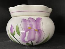 Maceta de cerámica autoriegable violeta africana libélulas iris flores Usada en excelente condición, usado segunda mano  Embacar hacia Argentina