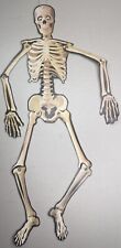 Vtg halloween skeleton for sale  Walton