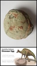 dinosaur fossils eggs for sale  UK