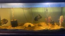 Fish tanks sale for sale  Fall River