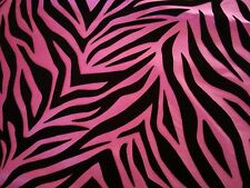 Zebra pattern fuchsia for sale  Miami
