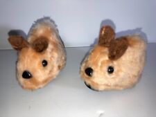 Hamsters untested for sale  BIRMINGHAM