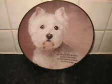 Westie dog plate for sale  WELLINGBOROUGH