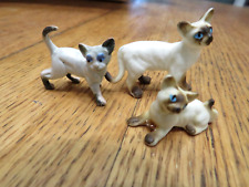 siamese cats 2 for sale  Bradenton