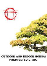 Premium 10l bonsai for sale  COVENTRY