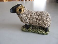 Dales sheep ram for sale  BONNYRIGG